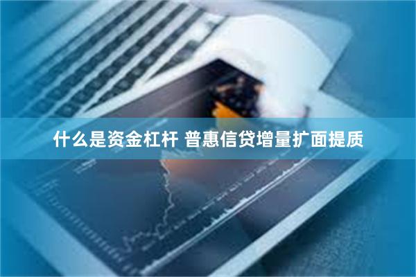 什么是资金杠杆 普惠信贷增量扩面提质