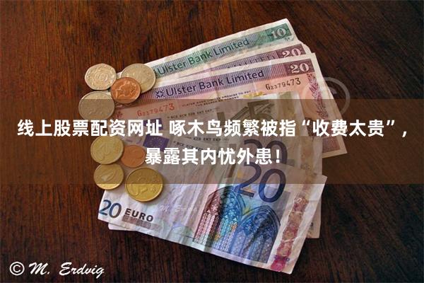 线上股票配资网址 啄木鸟频繁被指“收费太贵”，暴露其内忧外患！