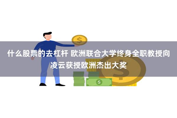 什么股票的去杠杆 欧洲联合大学终身全职教授向凌云获授欧洲杰出大奖