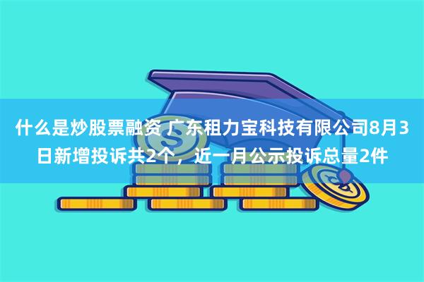 什么是炒股票融资 广东租力宝科技有限公司8月3日新增投诉共2个，近一月公示投诉总量2件