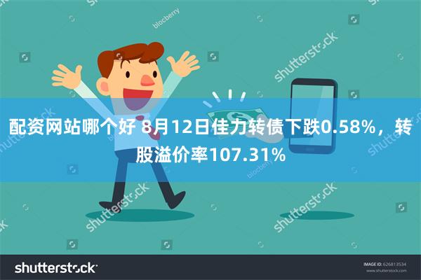 配资网站哪个好 8月12日佳力转债下跌0.58%，转股溢价率107.31%