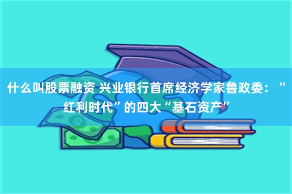 什么叫股票融资 兴业银行首席经济学家鲁政委：“红利时代”的四大“基石资产”