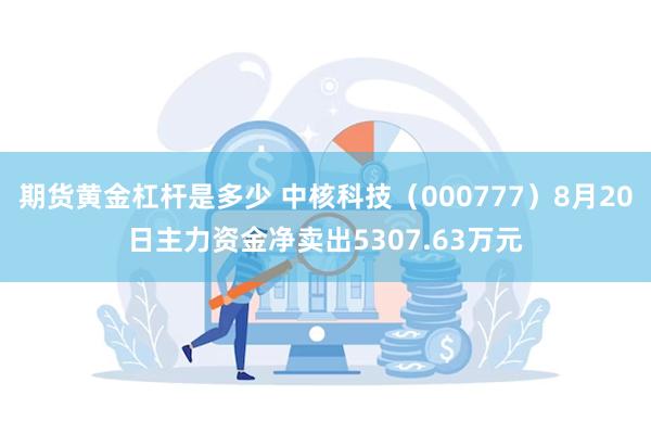 期货黄金杠杆是多少 中核科技（000777）8月20日主力资金净卖出5307.63万元