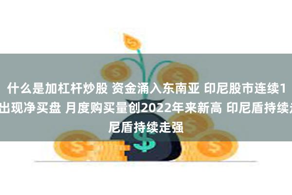 什么是加杠杆炒股 资金涌入东南亚 印尼股市连续14天出现净买盘 月度购买量创2022年来新高 印尼盾持续走强