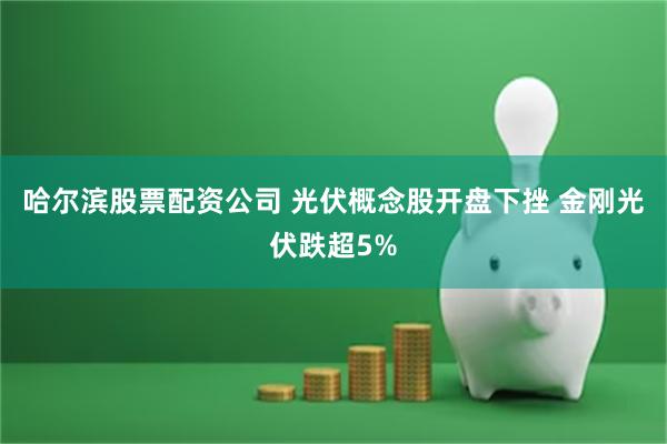 哈尔滨股票配资公司 光伏概念股开盘下挫 金刚光伏跌超5%