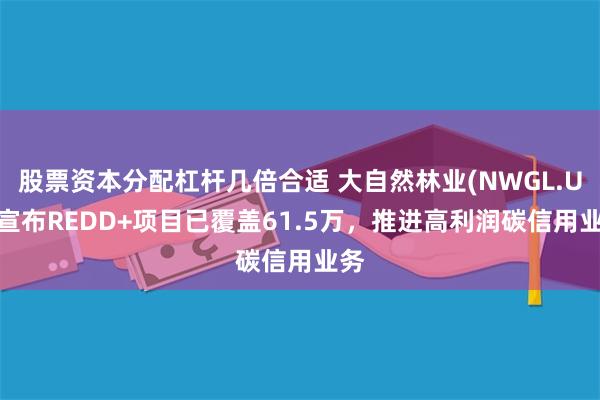 股票资本分配杠杆几倍合适 大自然林业(NWGL.US)宣布REDD+项目已覆盖61.5万，推进高利润碳信用业务