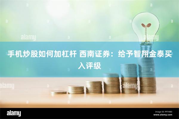 手机炒股如何加杠杆 西南证券：给予智翔金泰买入评级