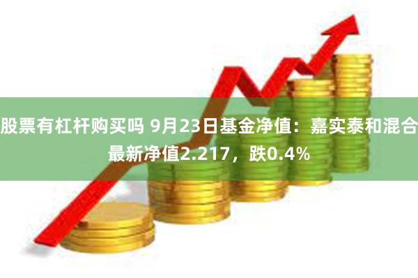 股票有杠杆购买吗 9月23日基金净值：嘉实泰和混合最新净值2.217，跌0.4%