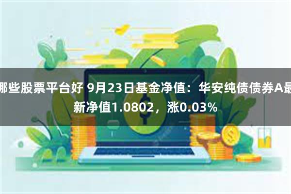 哪些股票平台好 9月23日基金净值：华安纯债债券A最新净值1.0802，涨0.03%