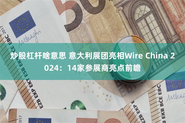 炒股杠杆啥意思 意大利展团亮相Wire China 2024：14家参展商亮点前瞻