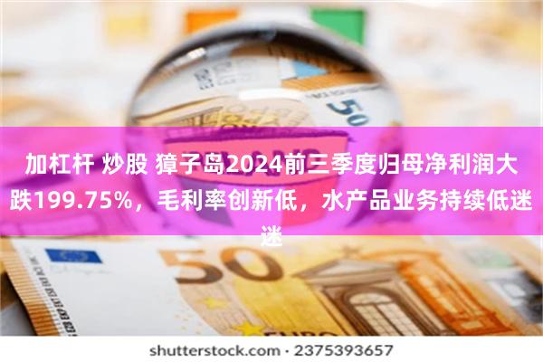 加杠杆 炒股 獐子岛2024前三季度归母净利润大跌199.75%，毛利率创新低，水产品业务持续低迷