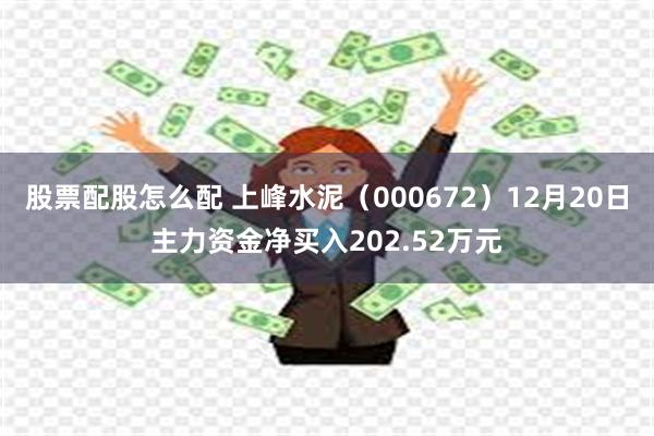 股票配股怎么配 上峰水泥（000672）12月20日主力资金净买入202.52万元