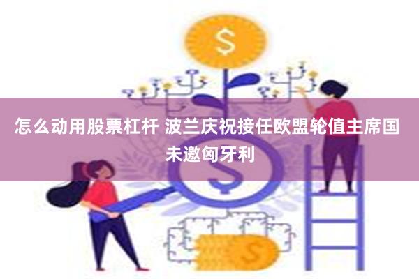 怎么动用股票杠杆 波兰庆祝接任欧盟轮值主席国 未邀匈牙利