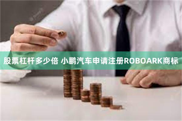 股票杠杆多少倍 小鹏汽车申请注册ROBOARK商标