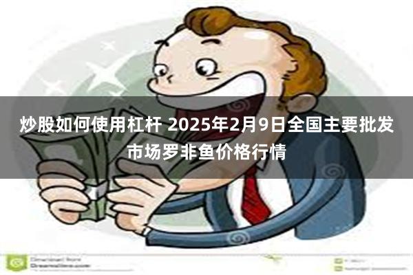 炒股如何使用杠杆 2025年2月9日全国主要批发市场罗非鱼价格行情