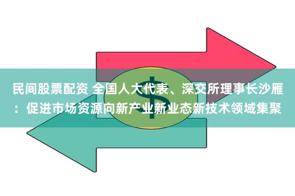 民间股票配资 全国人大代表、深交所理事长沙雁：促进市场资源向新产业新业态新技术领域集聚