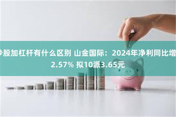 炒股加杠杆有什么区别 山金国际：2024年净利同比增52.57% 拟10派3.65元