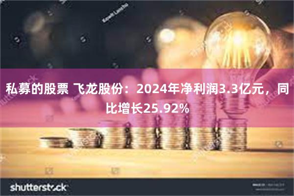 私募的股票 飞龙股份：2024年净利润3.3亿元，同比增长25.92%