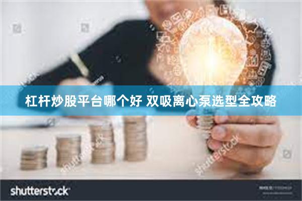 杠杆炒股平台哪个好 双吸离心泵选型全攻略