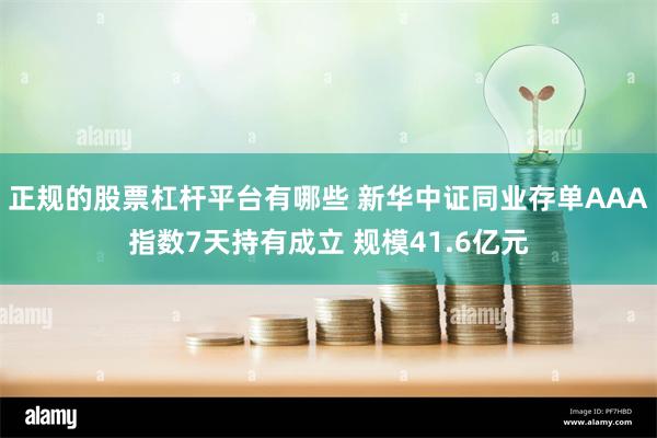 正规的股票杠杆平台有哪些 新华中证同业存单AAA指数7天持有成立 规模41.6亿元